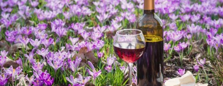 April Happy Hour - Sip into Spring